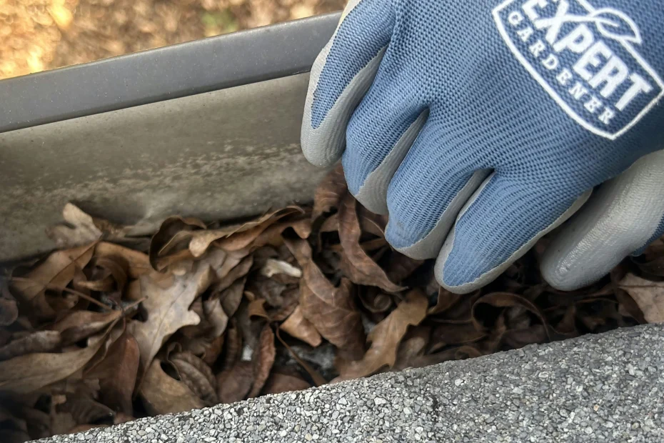 Gutter Cleaning Brandon