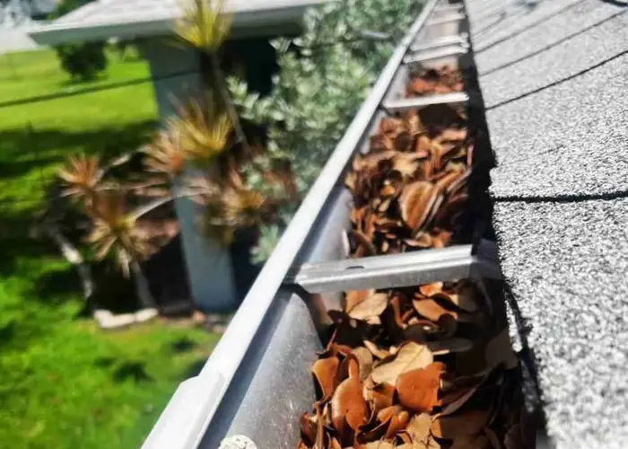 Gutter Cleaning Brandon home page